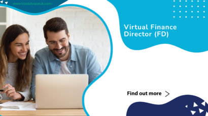 virtual finance director
