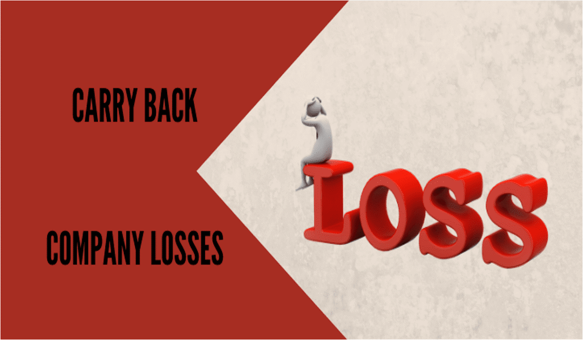 carry back company losses